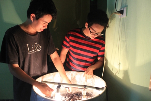 Dùng bóng đèn lên men tỏi đen cach len men toi den bang bong den