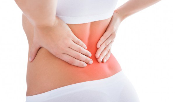 Bài thuốc chữa đau lưng bằng ngải cứu ngai cuu chua dau lung