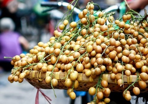 Ăn quất hồng bì có tác dụng gì qua hong bi co tac dung gi