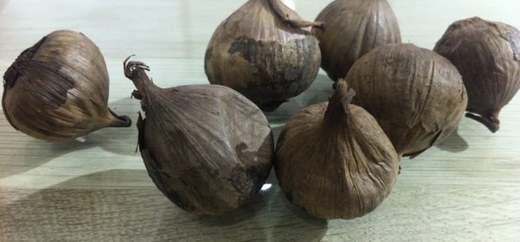 Rượu tỏi đen chữa bệnh gì? cach len men toi den