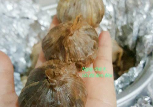 Tỏi đen tự làm tại nhà có tốt không lam toi den bi uot 1