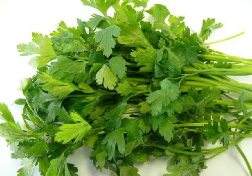 Thảo dược khắc phục tóc khô và hư tổn thao duoc cho toc kho